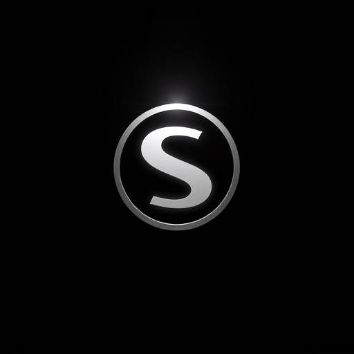 Pixel Perfect Pro Logo